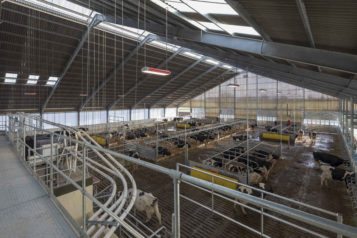 CIEL (Centre for Innovation Excellence in Livestock) - Agritech UK